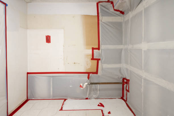 Stony Brook University, NY Mold Removal Company