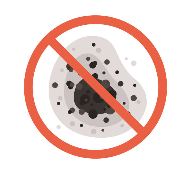 Best Mold Prevention Services  in Sto Brook University, NY